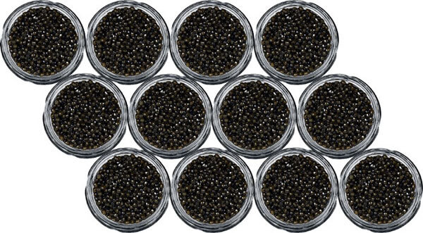 Caviale Beluga 1356g Caviale Beluga 1356g
